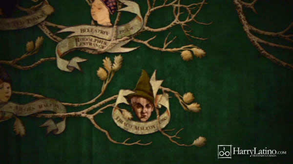 n[E|b^[ƕs̋RmcHarry Potter and the Order of the Phoenix 