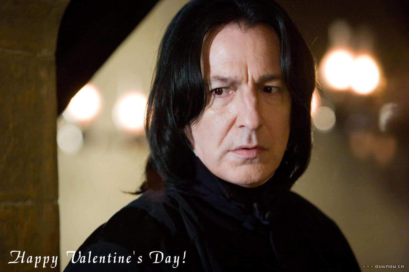 n[E|b^[,o^Cf[/Harry Potter, St.Valentine's Day