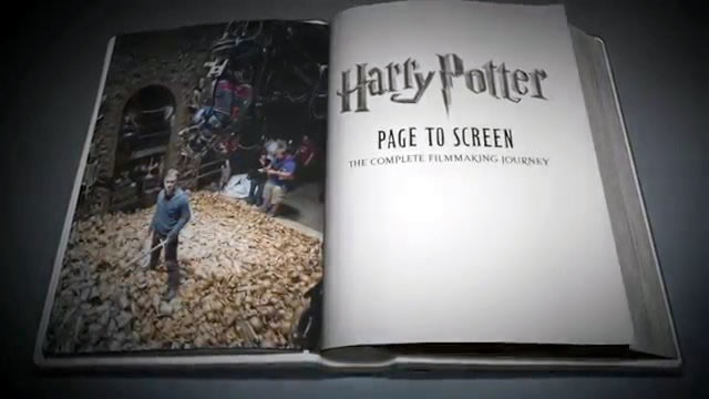 ハリー・ポッターと死の秘宝 PART2　グッズ/Harry Potter and the Deathly Hallows Part 2