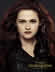 gCCgET[K^uCLOEh[ PART2@OT/The Twilight Saga: Breaking Dawn Part 2 Advance Ticket