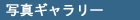 �n���[�E�|�b�^�[�ʐ^�M�������[